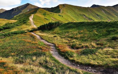 Percorso 1 il viaggio del sè (2)